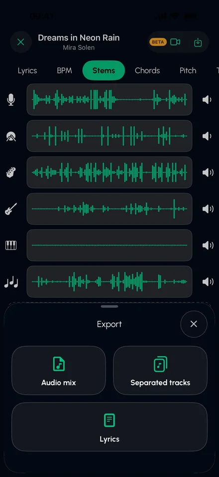 Export options: audio mix, separated tracks, lyrics